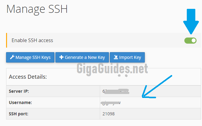 Enable SSH in Cpanel