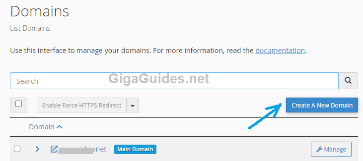 Create a New Domain button