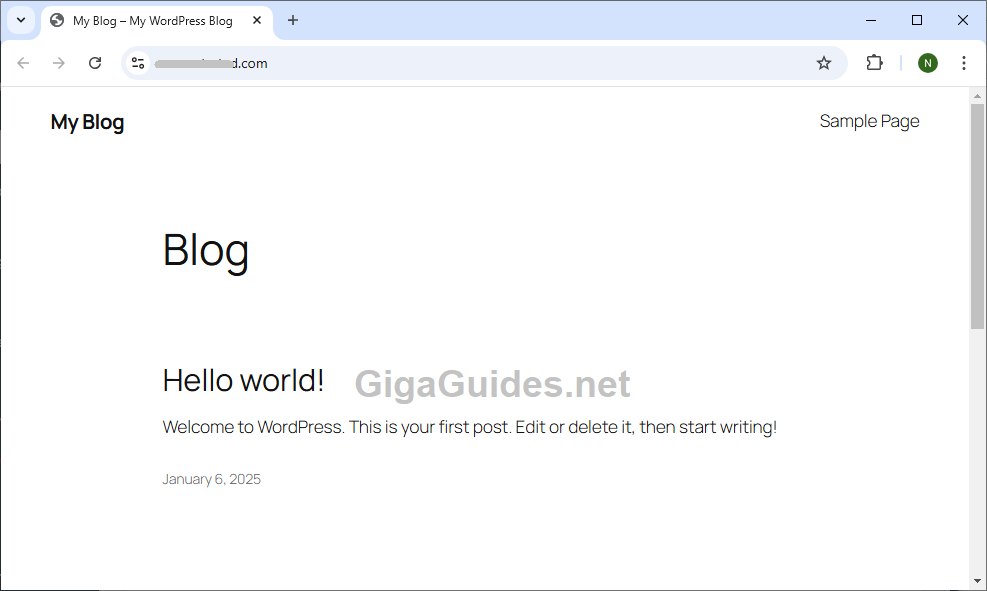 Test wordpress website home page